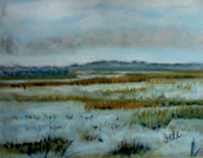 Marsh Art